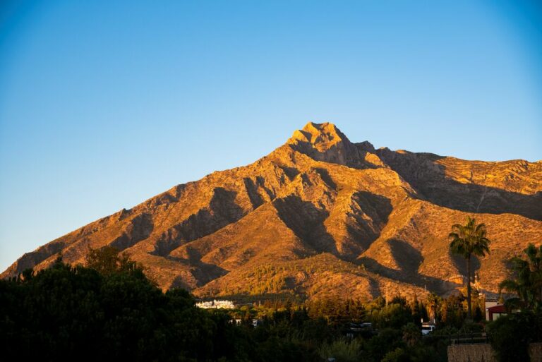 La concha Villa Senses - Almodóvar Villas - Luxury homes to rent in Marbella