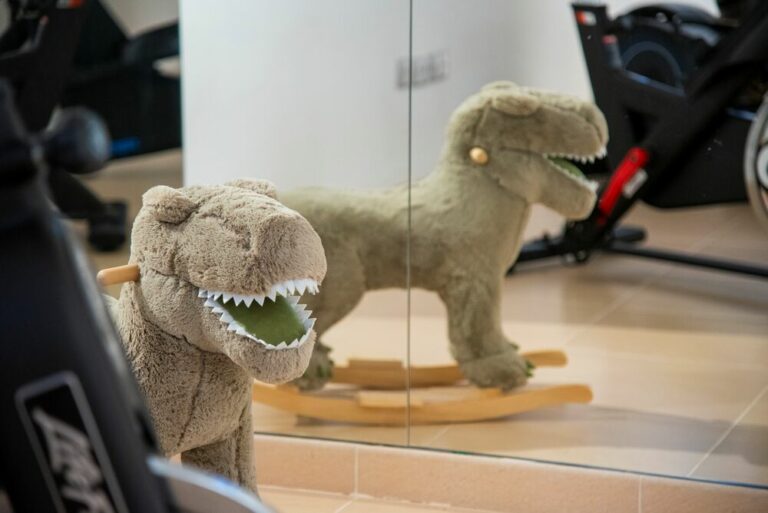 Private gym detail Villa Senses - Almodóvar Villas - Luxury homes to rent in Marbella